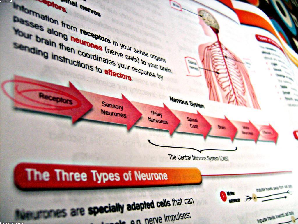 កម្មវិធីជំនួយ: ការជួយអោយអ្នកប្រើប្រាស់អត្ថប្រយោជន៍