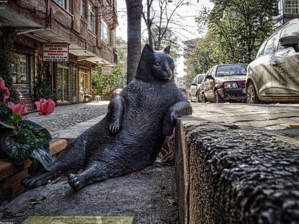 ព័ត៌មានល្អៗសម្រាប់ជីវិតប្រចាំថ្ងៃ