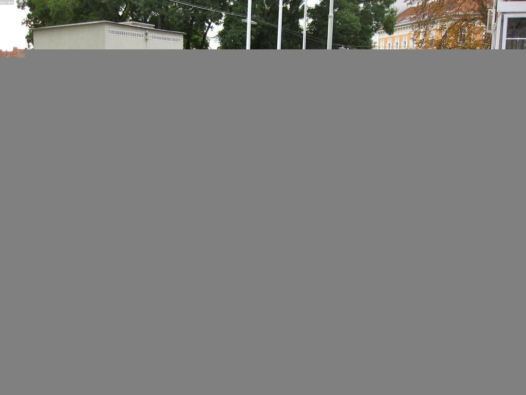 ការណែនាំសម្រាប់អ្នកថ្មីក្នុងការនាវាយឱកាសថ្មី